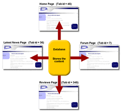 Introduction to the principles of DotNetNuke