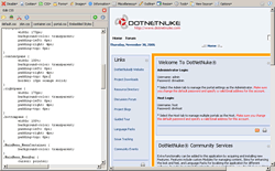 troubleshooting DNN skins