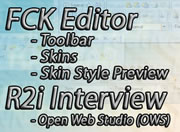 Issue 36 – FCK Editor Toolbar, Skins and Styles 