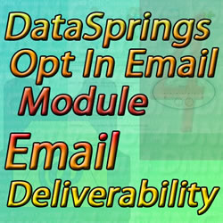 Issue 42 - DataSprings Opt In Email and Email Deliverability