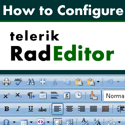 Introduction to the DotNetNuke Telerik RAD Editor