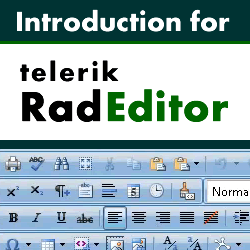 Introduction to the DotNetNuke Telerik RAD Editor