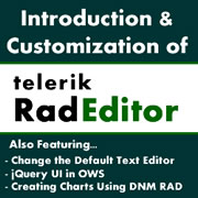 Issue 59 - DotNetNuke Telerik RAD Editor, Introduction and Customization