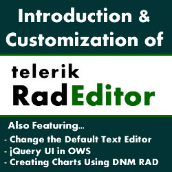 Issue 59 - DotNetNuke Telerik RAD Editor, Introduction and Customization