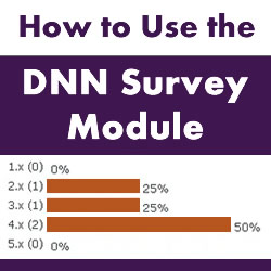 Introduction to the DotNetNuke Telerik RAD Editor