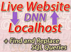 Issue 22 – Transferring DotNetNuke installations localhost/live, SQL Find and Replace