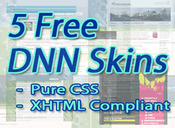 issue 23 - 5 free DNN CSS skins