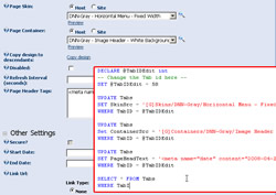 How to Update the DotNetNuke Page Settings Using SQL Sever