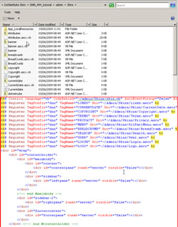 ASCX Skinning for DotNetNuke Professionals