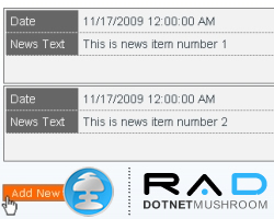 How to Style the News Application Built with DotNetMushroom RAD