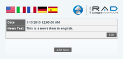 How to Implement Multi-Language Localization With DotNetMushroom RAD