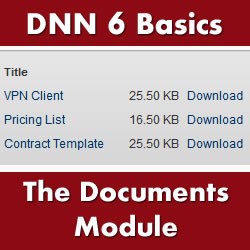 How to Build a Website with DotNetNuke 6