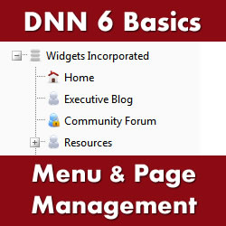 How to Build a Website with DotNetNuke 6